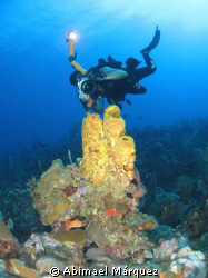Juan Torres in full action, Guanica, P.R. by Abimael Márquez 